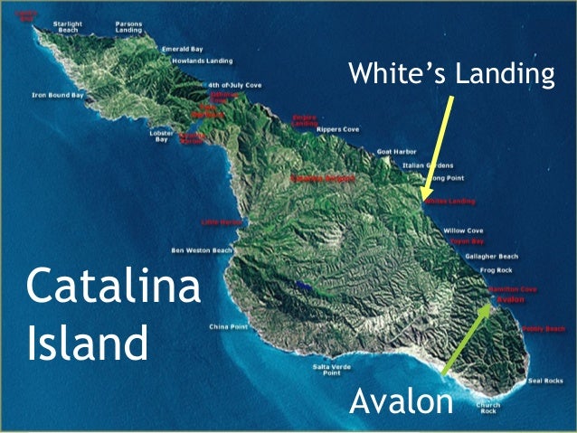 How To Get To Catalina Island From Long Beach How To Get To Catalina Island From Long Beach