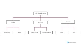 arangocatalina
Data Science Culture
People Product
DataToolsTeamLeadership
Process
Business NeedsOrg Structure
 