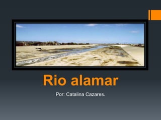 Rio alamar
Por: Catalina Cazares.
 