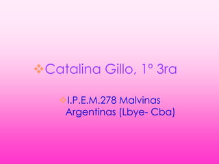 Catalina Gillo, 1º 3ra

    I.P.E.M.278 Malvinas
     Argentinas (Lbye- Cba)
 