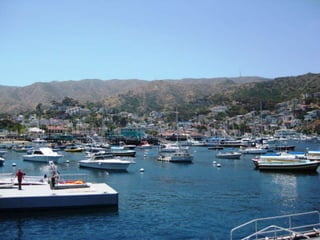 Catalina 