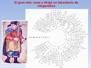 El gran reto: crear y dirigir un laboratorio de citogenetica 