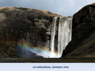 La naturaleza, siempre viva 