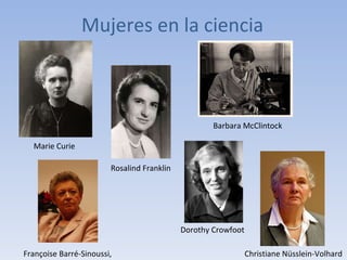 Mujeres en la ciencia Marie Curie Rosalind Franklin Barbara McClintock Christiane Nüsslein-Volhard Françoise Barré-Sinoussi, Dorothy Crowfoot 