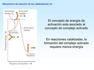 El concepto de energía de
activación esta asociado al
concepto de complejo activado
En reacciones catalizadas, la
formación del complejo activado
requiere menos energía
Mecanismo de reacción de los catalizadores (2)
 