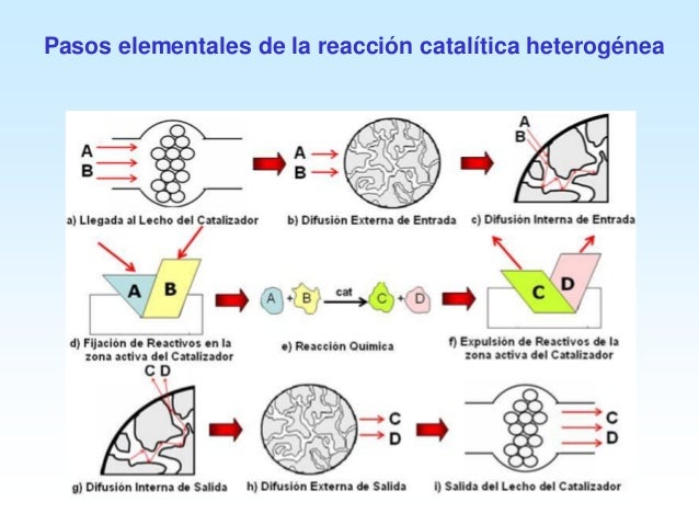 Cat lisis Tipos De Catalizadores Y Reacciones NGTHWR Cat lisis Tipos De Catalizadores Y Reacciones NGTHWR