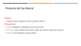 Directos:
 metano, etano, propano, butano, gasolina natural
Petroquímicos:
 Etileno (polietileno, etilenglicol, cloruro de vinilo)
 Amoníaco (úrea, nitrato de amonio, sulfato de amonio, fosfato de amonio)
 Metanol (formaldehídos, ácido acético)
Productos del Gas Natural
 