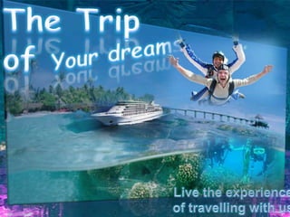 The Trip of                 Your dreams  Live the experience of travelling with us  