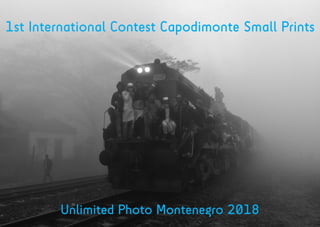 1st International Contest Capodimonte Small Prints
Unlimited Photo Montenegro 2018
 