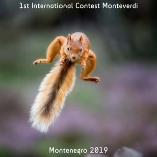1st International Contest Monteverdi
Montenegro 2019
 