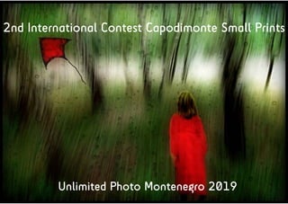 2nd International Contest Capodimonte Small Prints
Unlimited Photo Montenegro 2019
 