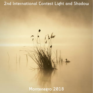 2nd International Contest Light and Shadow
Montenegro 2018
 