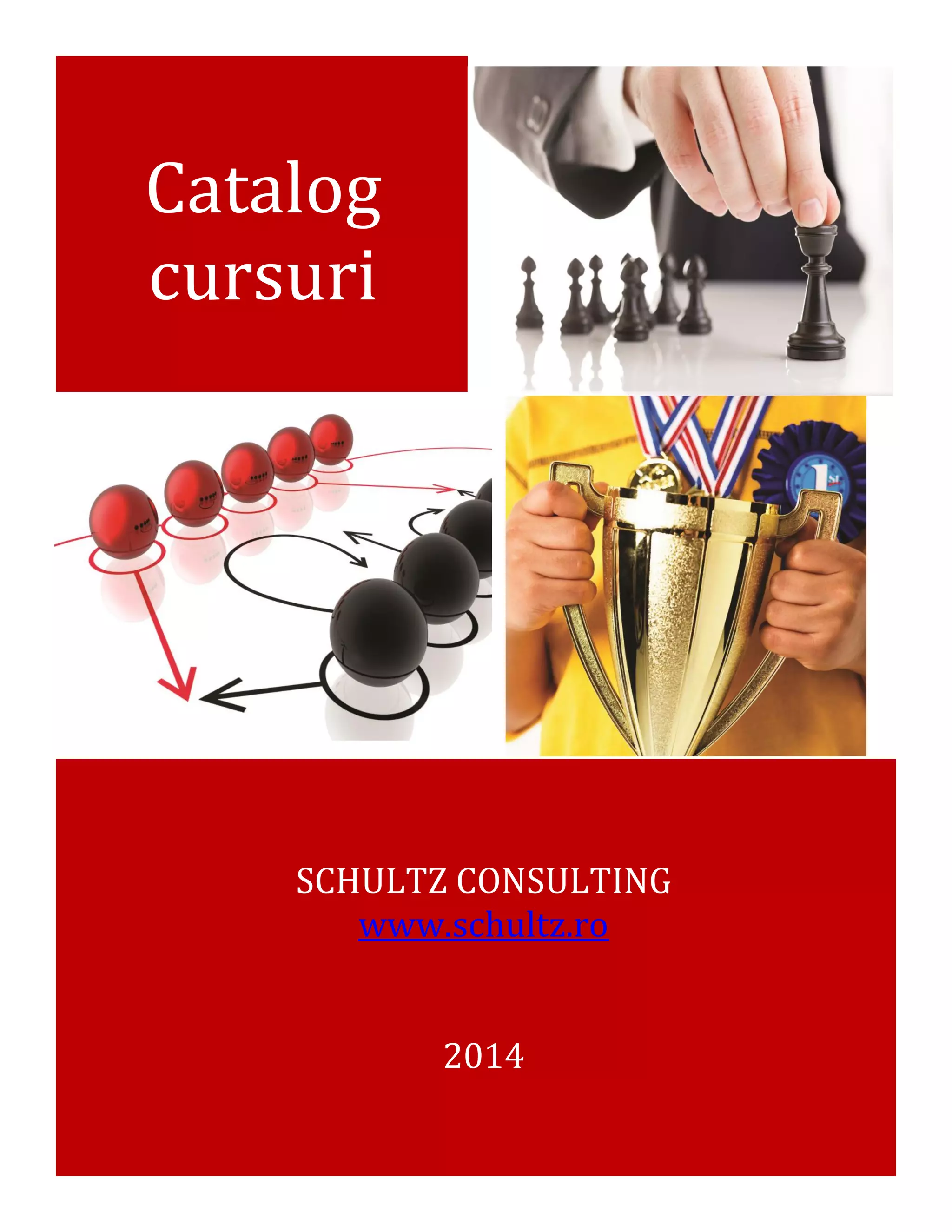 Catalog cursuri corporate Schultz Consulting 2014 PDF