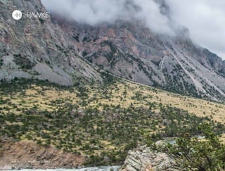 148 HAWKE / SPOTTING SCOPES
 