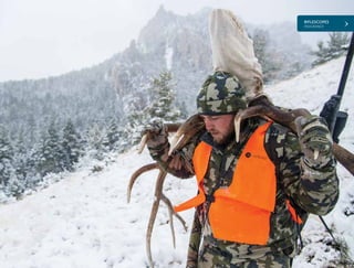 RIFLESCOPES
ENDURANCE
21
 