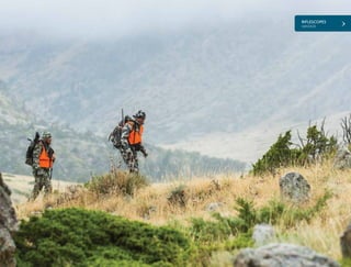 RIFLESCOPES
VANTAGE
45
 