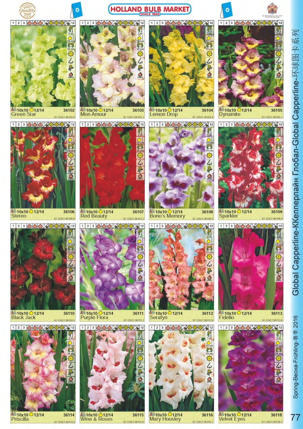 Каталог Holland Bulb Market Весна 2016