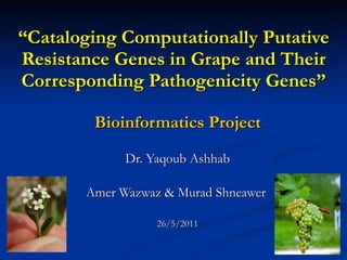 “ Cataloging Computationally Putative Resistance Genes in Grape and Their Corresponding Pathogenicity Genes” Bioinformatics Project Dr. Yaqoub Ashhab Amer Wazwaz & Murad Shneawer  26/5/2011 
