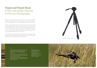 LEICA TRICA 1 with LEICA DH 1
Leica Trica 1
dimensions: max. tripod
extension 68.9 in/175 cm,
min. 15.0 in/38 cm,
collapsed length 27.6 in/70 cm
weight: 4.6 lb/2.1 kg
only available in a set with the
Leica DH 1 tripod head
Leica DH 1
the fluid head can be locked in horizontal and vertical
positions by lightly turning two locking knobs
head tilt range from ± 90 °, loading capacity up to
8.8 lb/4 kg
manual locking can be fully compensated by setting
the correct friction: the spotting scope and the camera
remain in the chosen position
the extended panning arm allows easy, precise and
steady movement of the complete digiscoping system
weight: 1.26 lb/570 g
Tripod and Tripod Head.
A Safe and Steady Platform
for Precise Photography.
First you only hear its distinctive warning cry. Then you see its characteristically
long legs. The Burrowing Owl is most active at dusk, but you’re lucky enough to
see it hunting during the day – and you’re perfectly prepared to take a rare photo.
A stable tripod is absolutely essential as a steady platform for shake-free viewing
and digiscoping. The Trica 1 tripod is constructed from light and resilient carbon
fibre, with a weight of just 4.6 lb/2.1 kg. Its maximum extended height is 68.9 in/
175 cm. At the same time, it can be quickly set up and collapsed. The matching
Leica DH 1 tripod head provides a stable support for the spotting scope and
camera, offering flexible movement in all directions.
A Leica balance plate is available as an optional accessory. This optimises weight
distribution when a spotting scope is mounted on the tripod, and simultaneously
guarantees shake-free viewing and precise photography.
2524
 