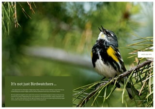 Hints and tips
It’s not just Birdwatchers ...
... who appreciate the advantages of digiscoping. Today, it attracts anyone wishing to experience the joy
of fascinating and unusual images, and the intense excitement found only in the world of nature.
We have gathered together some useful hints and tips on the following pages to help you find your way
around in the world of digiscoping. We cover equipment, shooting techniques, image composition and
more — so, with a little practice and the right techniques, you will soon be capturing breathtaking images
of the world of nature and enjoying every moment of the experience.
Yellow-Rumped Warbler
3736
 