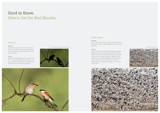 Good to Know.
How to Get the Best Results.
Moving subjects
Situation
Birds in particular are usually in motion and rarely stay still  
for long. This makes it almost impossible to capture a pin-
sharp shot.
Our tip
Due to the extreme focal lengths and long exposure times,
digiscoping is not ideal for capturing images of moving
subjects. Continuous shooting or switching to video mode  
are often the only ways to capture your targeted subject.
Nevertheless, you can try deliberately underexposing your
shots by selecting a faster shutter speed with the +/–  
settings. Or you can stop down (increase the f-number) in
manual mode.
Unsharp from motion blur
Silhouettes
Situation
A wonderful scene. It looks as if the pair are in an
intense conversation. You press the shutter release.
But, in the light of day, your image shows the birds
only in silhouette.
Our tip
Increase the image brightness in the camera with
the +/– settings and deliberately overexpose. This
wildly overexposes the background, but the details
of the birds are now perfectly recognisable.
No perceptible details, background too bright
4544
 