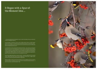 It Began with a Spur-of-
the-Moment Idea ...
... and today, digiscoping has developed to such an extent that wildlife and nature observation
is almost unimaginable without it.
The story began in 1999. More or less by chance, wildlife watchers held up a compact digital
camera to the eyepiece of a spotting scope and pressed the shutter. The result was not just
good; it was astounding. And as soon as the first users posted their pictures on the Web, they
took the birdwatching world by storm.
A real alternative to heavy and bulky SLR cameras was found — and a new way of seeing and
taking pictures was born. The following years have seen constant development of this technique.
Today, the camera is no longer simply held up to the eyepiece, but attached professionally with
an appropriately designed adapter. But the system’s functional capabilities are not decided by
the adapter alone. What’s important is that all its components are designed and engineered for
perfect mechanical and optical harmony. As they always are at Leica.
We offer ideal digiscoping systems to satisfy all needs — comprising a high-performance spotting
scope, a digital camera with a fast lens and an adapter that connects them, a rugged, steady
tripod and a tripod head optimised especially for digiscoping.
Observe the glory of nature and its flora and fauna as if at your fingertips, but from a safe and
respectful distance. The image you have in view can then be captured and preserved forever — in
your own, personal, creative photographic style.
Waxwings
0706
 