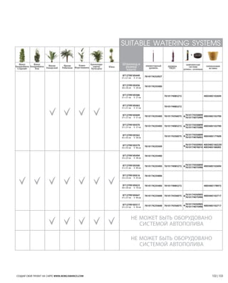 Nobilis Marco 2013