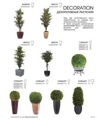 Nobilis Marco 2013