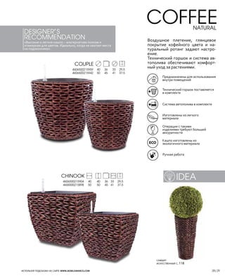 idea
 