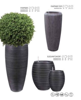 Nobilis Marco 2013