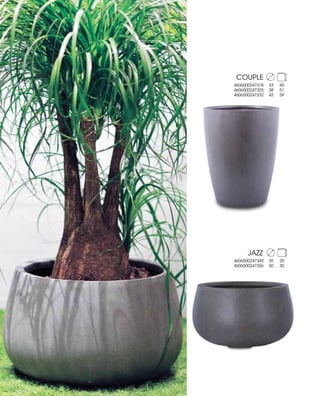 Nobilis Marco 2013