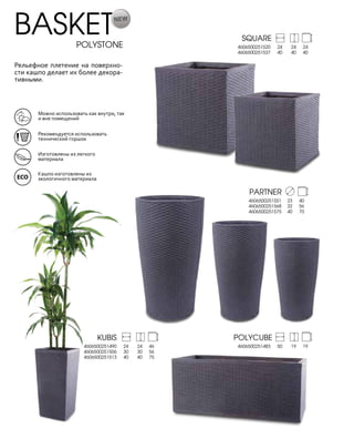 Nobilis Marco 2013
