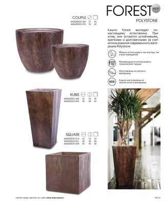 Nobilis Marco 2013