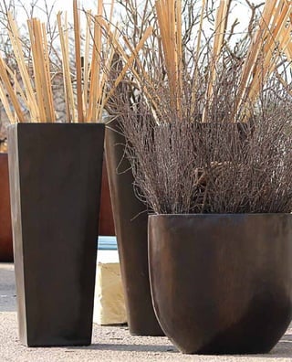 Nobilis Marco 2013