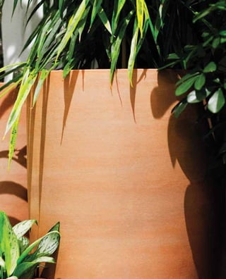 Nobilis Marco 2013