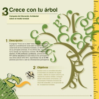 18
Objetivos
Impulsar entre la comunidad educativa
la transmisión de actitudes de respeto,
cuidado y disfrute de nuestro entorno y en
especial de nuestros árboles y bosques
desde la información, la formación y el
conocimiento. Pretende el fomento del
desarrollo sostenible y la recuperación de
los ecosistemas forestales.
Descripción
El programa “Crece con tu árbol” tiene entre sus principales
objetivos la sensibilización social sobre la importancia de la
conservación de los ecosistemas forestales y la identificación
de sus principales amenazas. En los últimos años, esta campa-
ña ha cobrado una importancia creciente. 95.747alumnos y
alumnas y 8.256 profesoras y profesores, pertenecientes a
571 centros educativos de toda Andalucía han participado en
esta última edición 2012/2013, repartiéndose más de 63.986
plantones para llevar a cabo las reforestaciones participativas.
Crece con tu árbol
Campaña de Educación Ambiental
sobre el medio forestal
3
1
2
 
