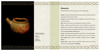 Inalador com pintura em
vermelho sobre branco.
Medidas
Altura: 6 cm
Diâmetro
Bojo: 8,3 cm
Borda: 6,6 cm
89 • CERÂMICA MARAJOARA
Glossário
Algumas definições de termos relacionados ao universo da arqueologia.
Apêndice - espécie de ornato adicionado à parte externa da peça de cerâmica que pode ser
representado por animais e figuras humanas.
Antiplástico - material não plástico encontrado na argila usado para prevenir os riscos de
rachadura na cerâmica.
Argila - matéria- prima de origem mineral utilizada para a confecção de cerâmica.
Aterros - construções erguidas pelas mãos do homem. Geralmente próximas às áreas
alagadiças tem nível elevado com finalidade de proteger as moradias, os cemitérios e os
templos. Os aterros recebem denominações variadas de acordo com as regiões geográficas.
Ver também tesos, murundus, cerritos e mound.
Cerritos - denominação de aterros empregada no Rio Grande do Sul. Ver também mound.
Datação - técnica usada para determinar o período em que viveu o povo que produziu a
cultura material objeto de estudo do arqueólogo. A datação é dividida em: relativa e
absoluta.
Datação relativa - processo utilizado para determinar o período em que viveu o povo que
produziu a cultura material baseado na estratigrafia.
CERÂMICA MARAJOARA • 90
 