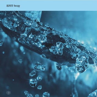 Efit Official Brochure