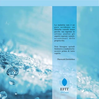 Efit Official Brochure