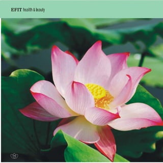 Efit Official Brochure