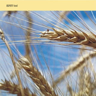 Efit Official Brochure