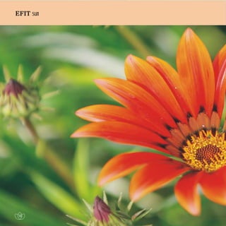 Efit Official Brochure