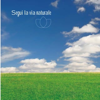 Efit Official Brochure