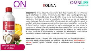 KOLINA
DESCRIPCIÓN: Ayuda al buen funcionamiento de la flora intestinal. Por sus nutrientes
ayuda a fortalecer el Sistema Inmunológico. Es indicado para aquellas personas que
consumen muchos Antibióticos. Kolina Omnilife, ayuda a una óptima absorción de
nutrientes. Contribuye a evitar la candidiasis. La Kolina es uno de los productos
desarrollados por Omnilife, que debido a la naturaleza de sus ingredientes, ayuda a
combatir la Cándida, este es un microorganismo presente en nuestra flora intestinal. En
la flora intestinal nosotros contamos con varios ecosistemas que nos ayudan a
mantener un balance, el problema surge cuando en nuestra flora intestinal aparece la
Cándida ya que esta genera una liberación de toxinas que provocan una mayor tensión
y estrés en el cuerpo disminuyendo la capacidad del Metabolismo y del sistema
inmunológico, favoreciendo la aparición de infecciones y enfermedades.
BENEFICIOS: Ayuda a combatir todo desarrollo infeccioso del sistema digestivo al
igual que favorece la eliminación de parásitos y bacterias como HELICOBACTER
PYLORI. Además, ayuda a combatir hongos e infecciones tanto internas como
externas.
BOTELLA 200ML
C$ 122 CU. 18
 