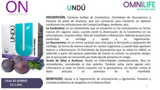 UNDÚ
DESCRIPCIÓN: Contiene Sulfato de Condroitina, Clorhidrato de Glucosamina y
Extracto de polvo de Aceituna, que son necesarias para mantener en óptimas
condiciones las articulaciones del cuerpo (cartílagos, tendones, etc).
La Condroitina: Es un carbohidrato que se encuentra en las articulaciones en forma
natural (En algunos casos, cuando existe la disminución de la Condroitina en las
articulaciones, ocasiona dolor, falta de movilidad e inflamación). Además proporciona
elasticidad al cartílago y ayuda a su regeneración.
La Glucosamina: Es un amino sacárido que sirve para la formación y reparación del
cartílago. Se forma de manera natural en nuestro organismo y cuando falta aparecen
dolores e inflamaciones. El Clorhidrato de Glucosamina que se utiliza en UNDÚ, es
obtenido a partir del proceso patentado de fuente no animal; no presenta alergia,
por lo que puede ser consumido por todo tipo de personas sin riesgo.
Aceite de Oliva o Aceituna: Ayuda en enfermedades cardiovasculares. Rico en
antioxidantes, considerado el más potente. También actúa como agente anti-
inflamatorio al estar en forma conjunta con la glucosamina. Un Auxiliar contra el
dolor articular, un promotor de la movilidad.
BENEFICIOS: Ayuda a la regeneración de articulaciones y ligamentos. Previene y
combate problemas de desgastes en el Sistema Óseo.
CAJA 30 SOBRES
C$ 1,955. 25
 
