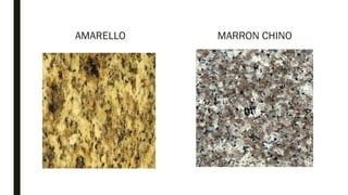 AMARELLO MARRON CHINO
 