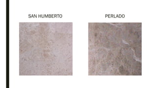 SAN HUMBERTO PERLADO
 