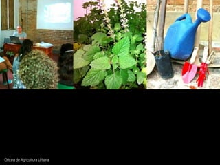 Oﬁcina de A!ricultura Urbana
 