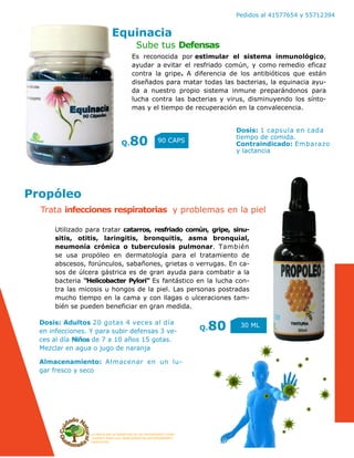 LA MEDICINA ALTERNATIVA ES UN TRATAMIENTO COAD-
YUVANTE PARA LOS PADECIMIENTOS ANTERIORMENTE
DESCRITOS
Pedidos al 41577654 y 55712394
Utilizado para tratar catarros, resfriado común, gripe, sinu-
sitis, otitis, laringitis, bronquitis, asma bronquial,
neumonía crónica o tuberculosis pulmonar. También
se usa propóleo en dermatología para el tratamiento de
abscesos, forúnculos, sabañones, grietas o verrugas. En ca-
sos de úlcera gástrica es de gran ayuda para combatir a la
bacteria "Helicobacter Pylori" Es fantástico en la lucha con-
tra las micosis u hongos de la piel. Las personas postradas
mucho tiempo en la cama y con llagas o ulceraciones tam-
bién se pueden beneficiar en gran medida.
Dosis: Adultos 20 gotas 4 veces al día
en infecciones. Y para subir defensas 3 ve-
ces al día Niños de 7 a 10 años 15 gotas.
Mezclar en agua o jugo de naranja
Almacenamiento: Almacenar en un lu-
gar fresco y seco
Es reconocida por estimular el sistema inmunológico,
ayudar a evitar el resfriado común, y como remedio eficaz
contra la gripe. A diferencia de los antibióticos que están
diseñados para matar todas las bacterias, la equinacia ayu-
da a nuestro propio sistema inmune preparándonos para
lucha contra las bacterias y virus, disminuyendo los sínto-
mas y el tiempo de recuperación en la convalecencia.
Dosis: 1 capsula en cada
tiempo de comida.
Contraindicado: Embarazo
y lactancia
Equinacia
Q.80 90 CAPS
Propóleo
Q.80 30 ML
Sube tus Defensas
Trata infecciones respiratorias y problemas en la piel
 