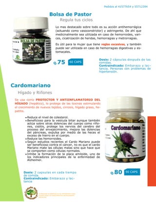 LA MEDICINA ALTERNATIVA ES UN TRATAMIENTO COAD-
YUVANTE PARA LOS PADECIMIENTOS ANTERIORMENTE
DESCRITOS
Pedidos al 41577654 y 55712394
Lo mas destacado sobre todo es su acción antihemorrágica
(actuando como vasoconstrictor) y astringente. De ahí que
medicinalmente sea utilizada en caso de hemorroides, vari-
ces, cicatrización de heridas, hemorragias y metrorragias.
Es útil para la mujer que tiene reglas excesivas, y también
puede ser utilizada en caso de hemorragias digestivas y es-
tomacales.
Bolsa de Pastor
Q.75 60 CAPS
Cardomariano
Q.80 90 CAPS
Regula tus ciclos
Dosis: 2 cápsulas después de las
comidas.
Contraindicado: Embarazo y lac-
tancia. Personas con problemas de
hipertensión.
Se usa como PROTECTOR Y ANTIINFLAMATORIO DEL
HÍGADO (hepático), lo protege de las toxinas estimulando
el crecimiento de nuevos tejidos, cirrosis, hígado graso, he-
patitis.
Reduce el nivel de colesterol.
Beneficioso para la vesícula biliar aunque también
actúa sobre otras dolencias del cuerpo como riño-
nes, cistitis, protege los nervios del cerebro del
proceso del envejecimiento, mejora las dolencias
del páncreas, expulsa por medio de las heces el
exceso de hierro en el cuerpo.
Reduce las hemorroides.
Según estudios recientes el Cardo Mariano puede
ser beneficioso contra el cáncer, no es que el cardo
Mariano mate las células malas sino que hace que
se comporten como células normales.
Inhibe la formación de la placa amiloide, uno de
los indicadores principales de la enfermedad de
Alzheimer.
Dosis: 2 capsulas en cada tiempo
de comida.
Contraindicado: Embarazo y lac-
tancia
Hígado y Riñones
 
